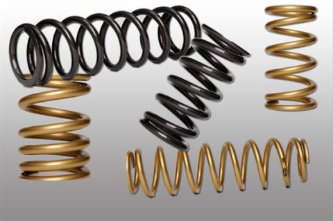 Landrum Stock Appearing Front Coil Springs F1000 Springs, Front, "Stock Appearing", 5.5 in. OD. x 12.0 in., Black, Each