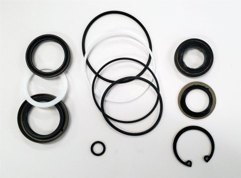 Borgeson Steering Box Rebuild Kits SK800P Power Seals, Only Fits P Series Gears, Seal Kit, Kit