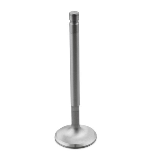 Dart Severe-Duty Stainless Steel Valves 21321600 Valve, Exhaust, Steel, 1.600 in. Diameter, .341 in. Stem, 5.010 in. Length, Chevy, Each