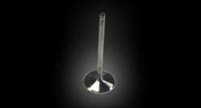 Dart Severe-Duty Stainless Steel Valves 21312020 INTAKE VALVE, Each