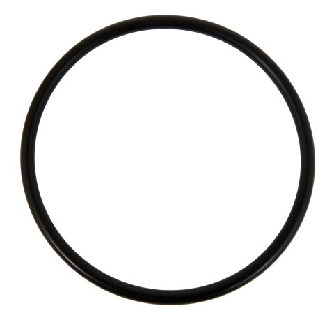 Jaz Products Fuel Cell Cap Gaskets 850-300-01 Gasket, Cap, Rubber, Each