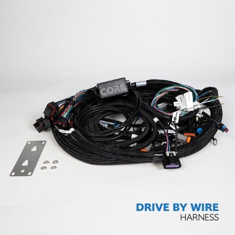 HP Tuners CORE LS Drive-By-Wire ECU Harnesses COR-HAR-002 Wiring Harnesses, ECU, Terminated, Drive-By-Wire, Chevrolet, Gen IV LS, LSX, 58X/4X Main Harness, Each