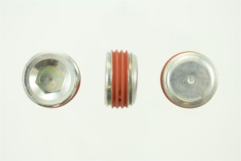 Pioneer Automotive Plug Fittings PP-568-T-100 PIPE PLUG