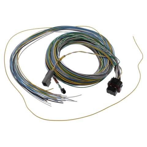 FuelTech FT550 B Unterminated Harnesses 2001005571 Wiring Harnesses, Harnesses, Harness Only, Engine Wiring Harness Classification, 10 ft. Length, Each