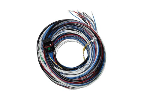 FuelTech FT450/550 A Unterminated Harnesses 2001005570 UNTERMINATED HARNESS 20FT