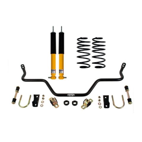 Detroit Speed Rear 1 Kits 041643DS Suspension Packages, Kits, Gas-charged Monotube, Springs, Sway Bar, Black, Pontiac, Kit