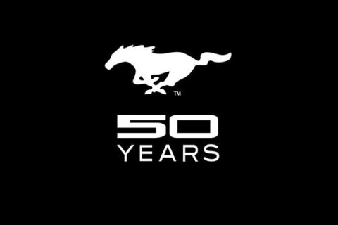 Fender Gripper Covers FG2139 Cover, Foam/Vinyl, Black, Mustang 50th Anniversary Logo, 22 in. x 34 in., Each