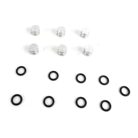 TransGo Automatic Transmission Valve Body Repair Kits 6L80-VBPLUGS Replacement Components, End Plugs, Aluminum, O-Rings, 6L45, 6L50, 6L80, 6L90, Kit