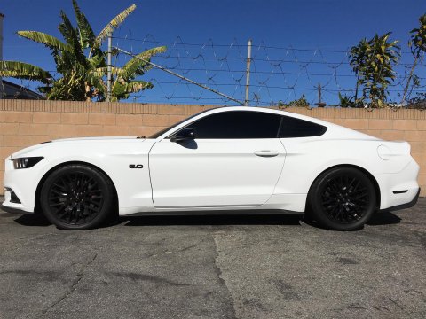Aldan American Lowering Springs for 2015-2020 MUSTANG - 500100 AXS Mustang Spring Kit, Front and Rear, 1.0 in. Front, 1.0 in. Rear, Black, Set of 4