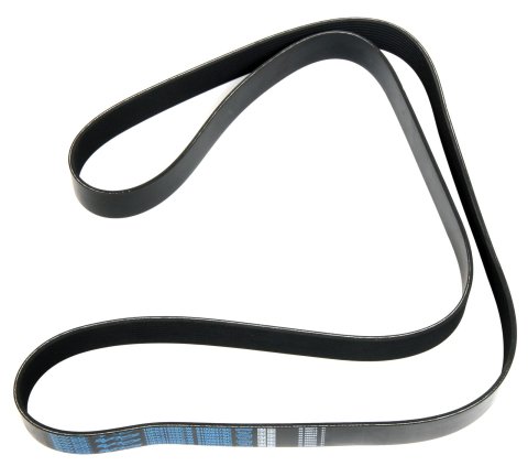 Dayco Supercharger Belts for 2007-2014 MUSTANG - 5100837SC Ford Mustang GT500, 2012-2014, 5.8 POLY Rib Belt