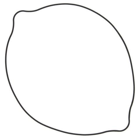 Vertex Pistons 96-08 RM 250 Clutch Cover Gasket - Outer