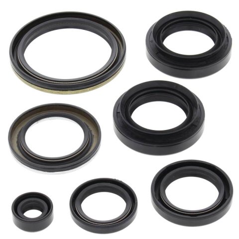 Vertex Gaskets 03-04 Arctic Cat 400 4x4 w/AT Oil Seal Kit
