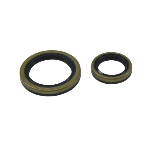 All Balls Racing 09-18 Beta EVO 4T 250 Crank Shaft Seal Only Kit