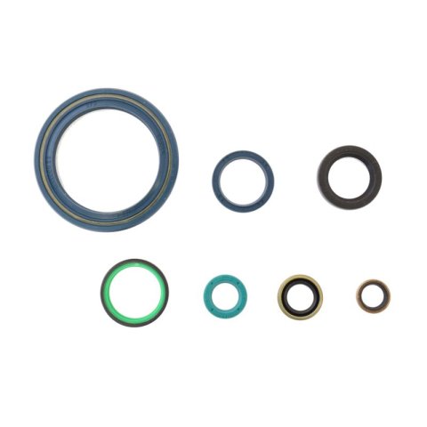Athena 75-83 Ducati 900 Engine Oil Seal Kit