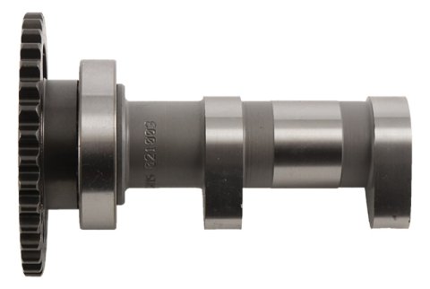 Hot Cams 06-09 LT-R 450 Intake Camshaft - Stage 1