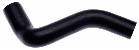 Gates 1969 Chevrolet Corvette V-8 350 Lower Molded Coolant Hose