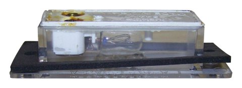 Crown Automotive License Plate Lights J3670544 Light, 12 V, White Bulb, Jeep, Each
