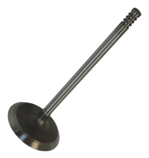 Crown Automotive Valves 4781025AA Intake Valve