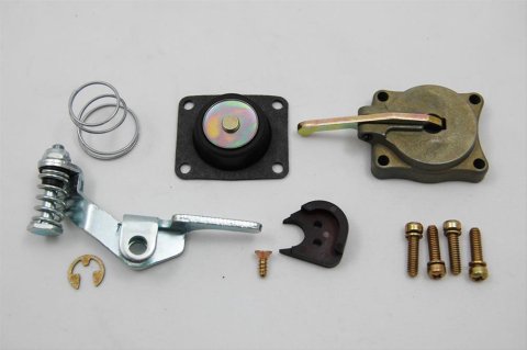 AED Accelerator Pump Kits 5565 Conversion, Gasoline, 50cc, Holley, Each