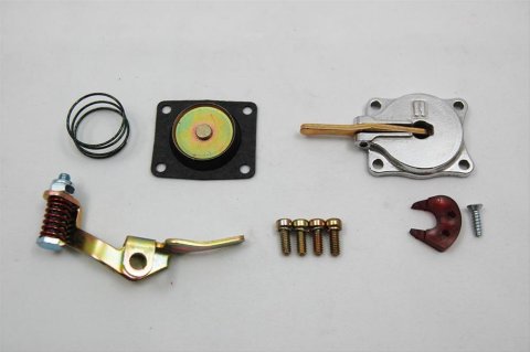 AED Accelerator Pump Kits 5570 Conversion, Gasoline, 30cc, Holley, Each