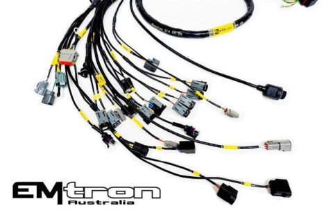 Rywire Honda B-Series NA w/Emtron KV8+ Eng Harn (4 Inj No EMAP/Boost/ Adapter Req / Drop Ship Only)