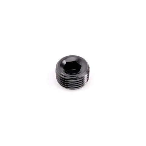 Nitrous Outlet Plug Fittings 00-01004 3/8 NPT Pipe (Black)
