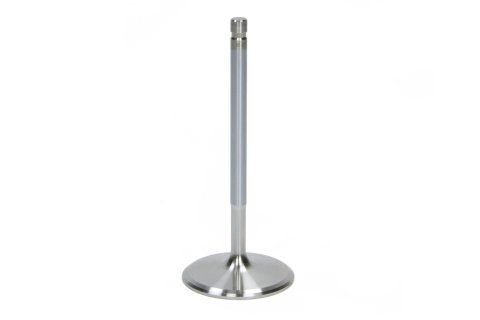 Intake Valve - LSx - 2.020 in Head - 8 mm Stem - 4.900 in Long - Stainless - GM LS-Series - Each