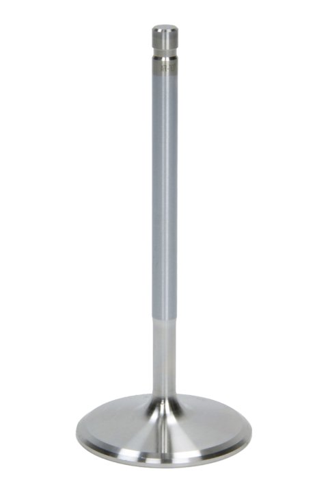 Exhaust Valve - Street - 1.600 in Head - 8 mm Stem - 4.950 in Long - Stainless - Small Block Chevy / Ford - Each