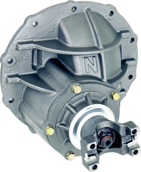 Differential Carrier - 3.89 Ratio - 31 Spline - Iron - Natural - Ford 9 in - Each