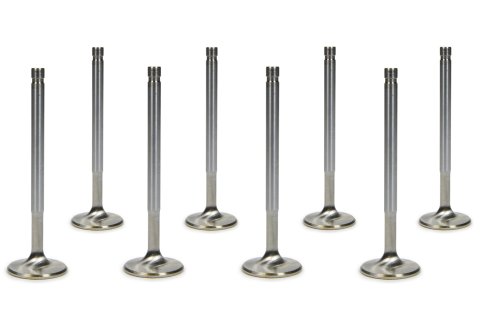 Exhaust Valve - Competition Plus - 1.600 in Head - 0.250 in Valve Stem - 5.300 in Long - Stainless - Natural - Set of 8