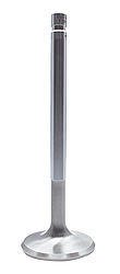Intake Valve - 5000 Series - 2.055 in Head - 11/32 in Valve Stem - 4.910 in Long - Stainless - Small Block Chevy - Set of 8