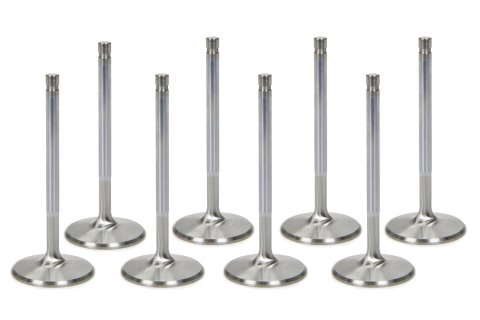 Valve - 6000 Series - Intake - 2.19 in Head - 11/32 in Valve Stem - 5.221 in Long - 12 Degree - Stainless - Various Applications - Set of 8