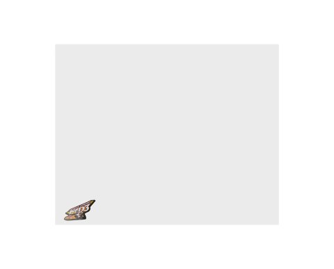 Nose - MD3 - Center - 48 in x 48 in - 0.125 in Thick - Plastic - White - Dirt Modified - Each