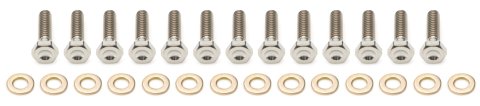 Beadlock Bolt Kit - 1/4-20 in Thread - 1 in Long - Hex Head - Washers Included - Titanium - Natural - Keizer 10 in Wheels - Set of 13