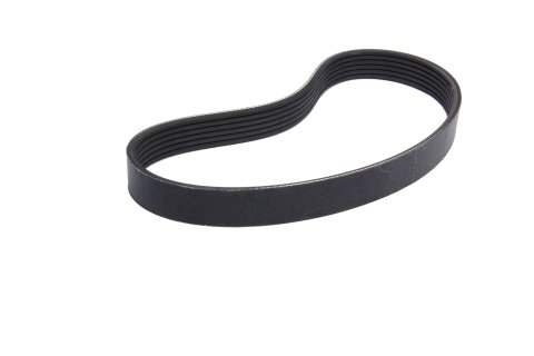 Serpentine Drive Belt - 24 in Long - 6-Rib - Each