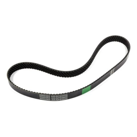 Serpentine Drive Belt - 36.5 in Long - 6-Rib - Each