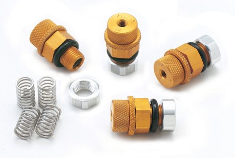 Tire Pressure Relief Valve - TIRELIEF - 3-40 psi - 100 Mesh Inlet Filter - 1/8 in NPT - Set of 4