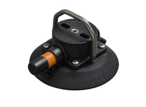 Tie Down Hanger - Wall Mount - Suction Cup Mount - Stainless D-Ring - Plastic - Black - Each
