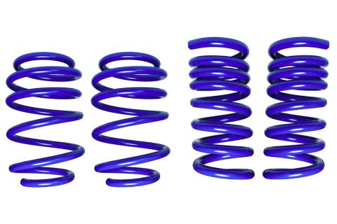 Suspension Spring Kit - MagneRide - Lowering - Front / Rear - Steel - Blue Powder Coat - Ford Mustang 2015-24 - Kit