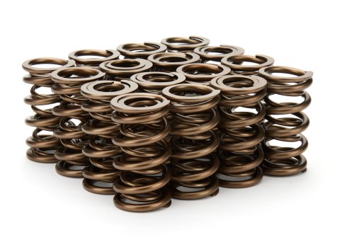 Valve Spring - Dual Spring - 355 lb/in Spring Rate - 1.200 in Coil Bind - 1.290 in OD - Set of 16
