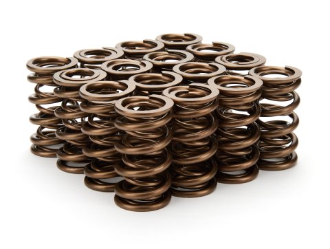 Valve Spring - Dual Spring - 370 lb/in Spring Rate - 1.200 in Coil Bind - 1.290 in OD - Set of 16