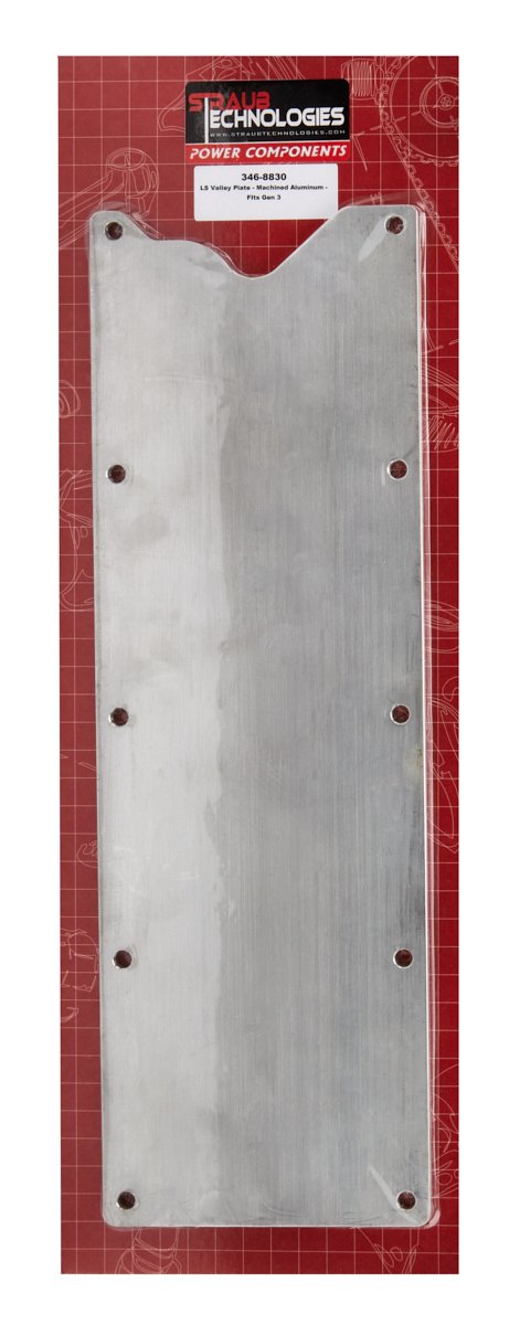 Valley Cover - 0.25 in Thick - Aluminum - Natural - GM LS-Series - Each