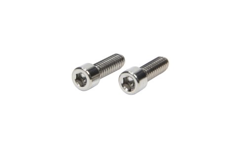Bolt - 1/4-20 in Thread - 0.75 in Long - Allen Head - Titanium - Natural - Ti22 Rock Screen Clamp - Pair