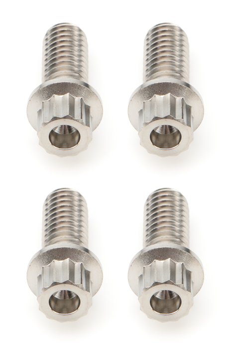 Fuel Tank Bolt - 5/16-18 in Thread - 0.75 in Long - 12 Point Head - Titanium - Natural - Set of 4