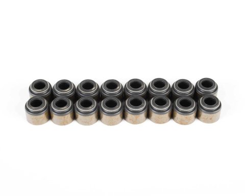 Valve Stem Seal - 0.313 in Valve Stem - 0.546 in OD - Viton - Set of 16