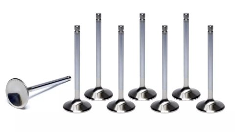 Intake Valve - Competition Plus - 2.425 in Head - 11/32 in Valve Stem - 6.300 in Long - Stainless - Various Ford Applications - Set of 8