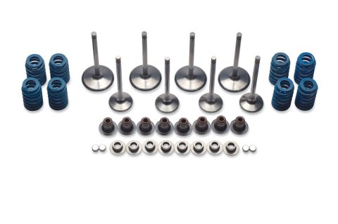 Valve Spring Kit - Single Spring - 1.220 in Coil Bind - 1.320 in OD - Retainers / Rocker Arm Wear Pads / Seals / Seats / Valves Included - GM LS-Series - Kit