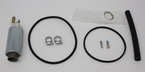 Walbro Fuel Pump/Filter Assembly