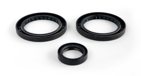 EPI 99-04 Polaris 300-650 Magnum/Sportsman Differential Seal Kit