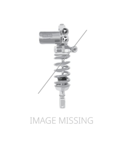 Ohlins 24-25 CFMOTO 450MT STX 46 Adventure Shock Absorber